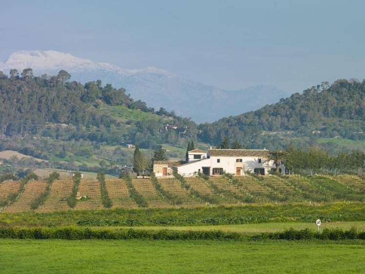 General view