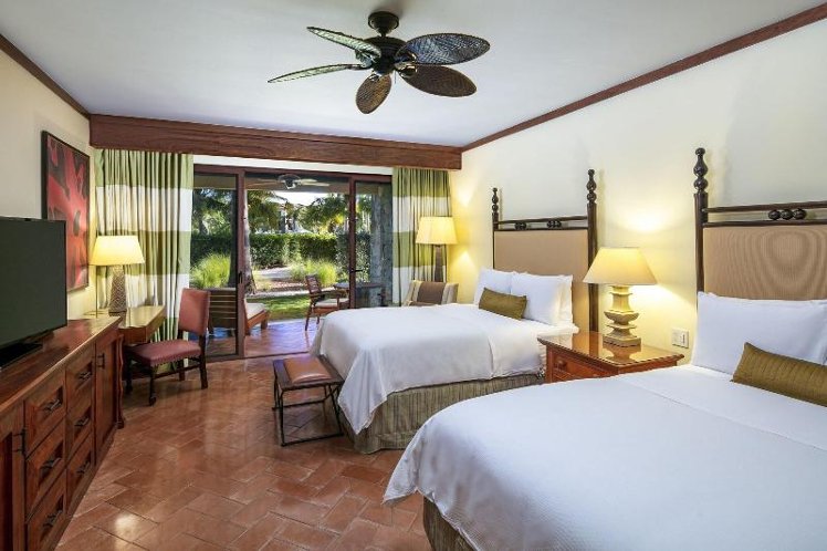 DOUBLE DELUXE POOL VIEW Room