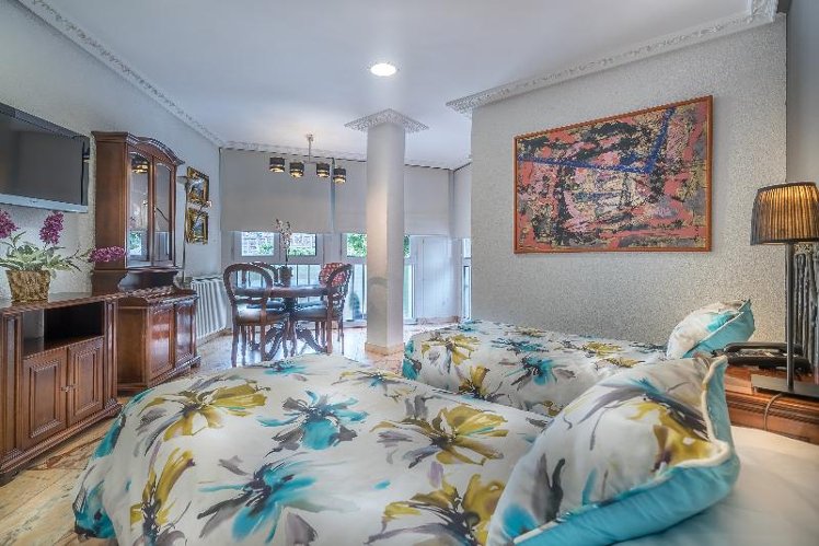 APARTMENT PARK VIEW Room