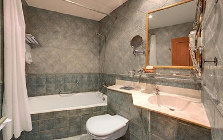 DOUBLE SINGLE USE STANDARD Room
