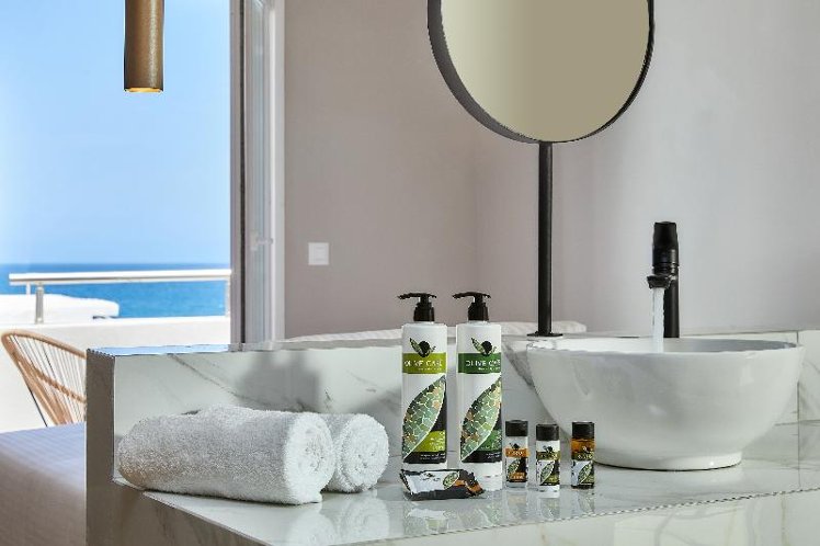 SUITE EXECUTIVE Room