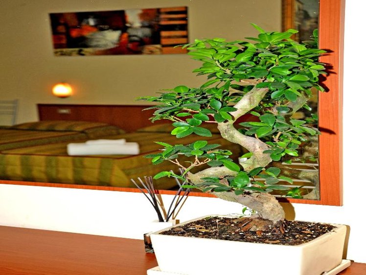 Hotel San Siro Fiera