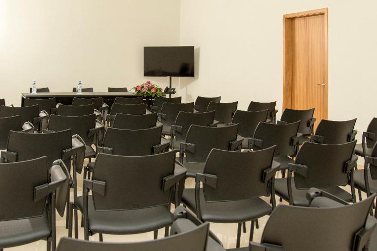 Conferences