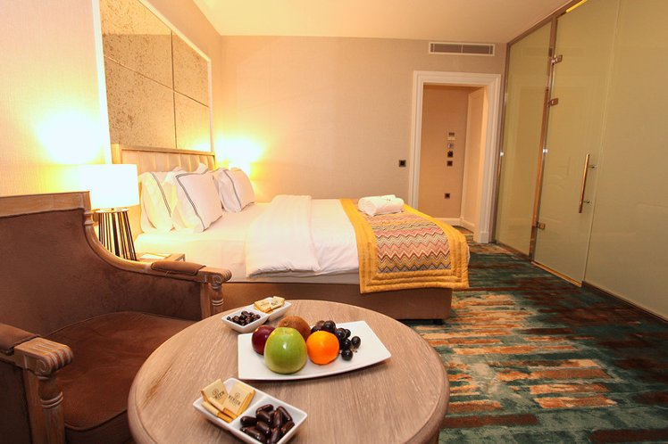 DOUBLE STANDARD Room
