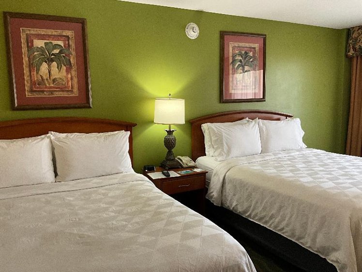 DOUBLE TWO QUEEN BEDS Room