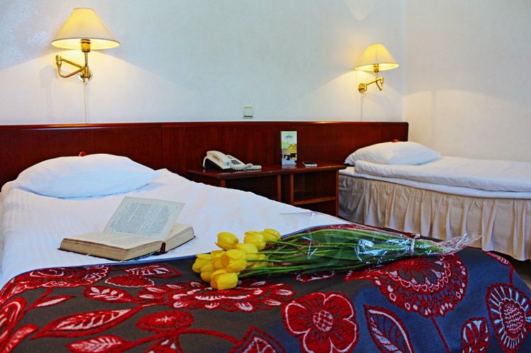 Double or Twin STANDARD Room