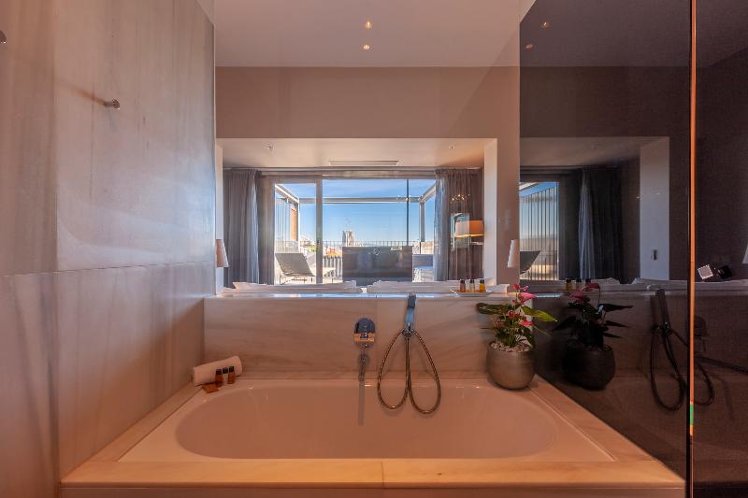 DOUBLE SINGLE USE DELUXE WITH TERRACE Room