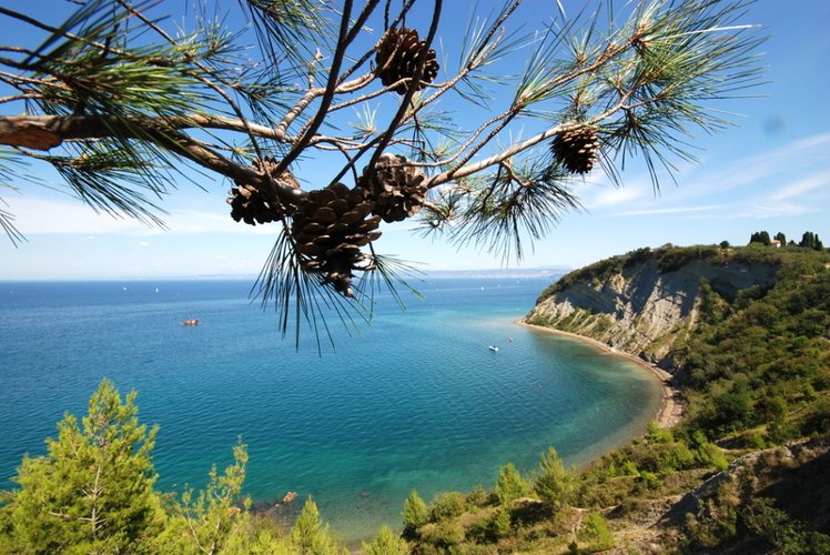 Holiday image