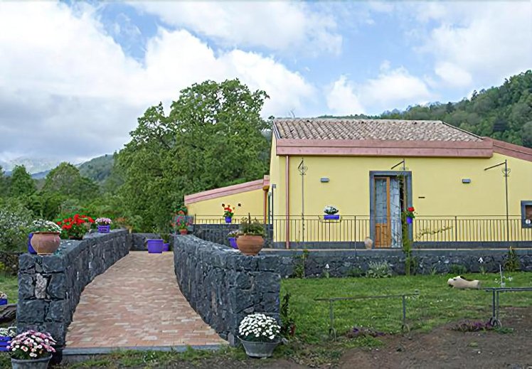 Holiday image
