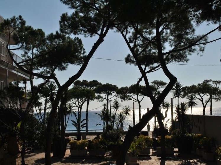 Holiday image