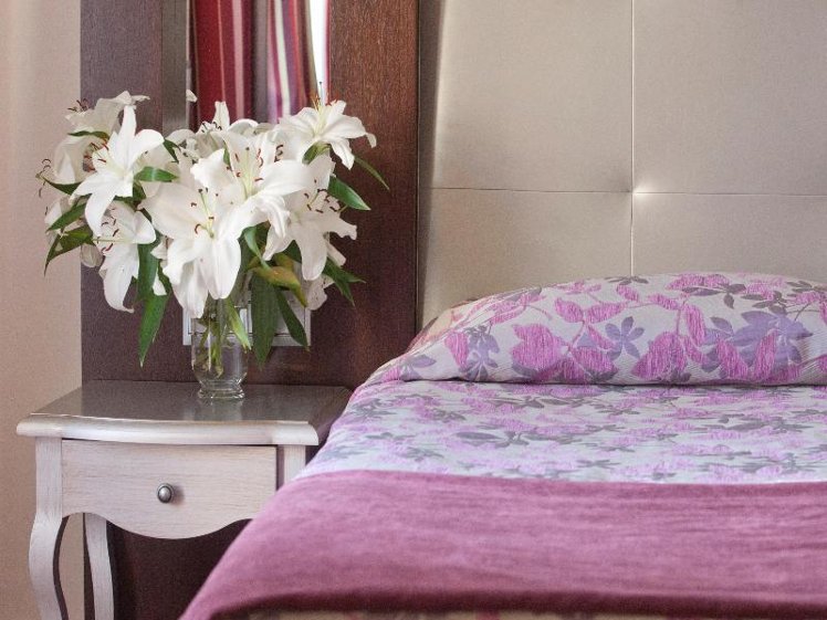 Double or Twin EXECUTIVE Room