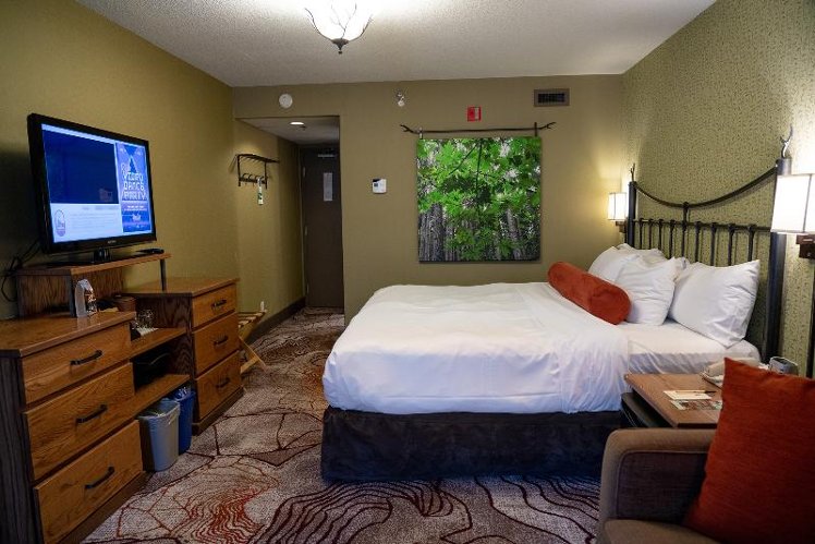 DOUBLE KING SIZE BED Room