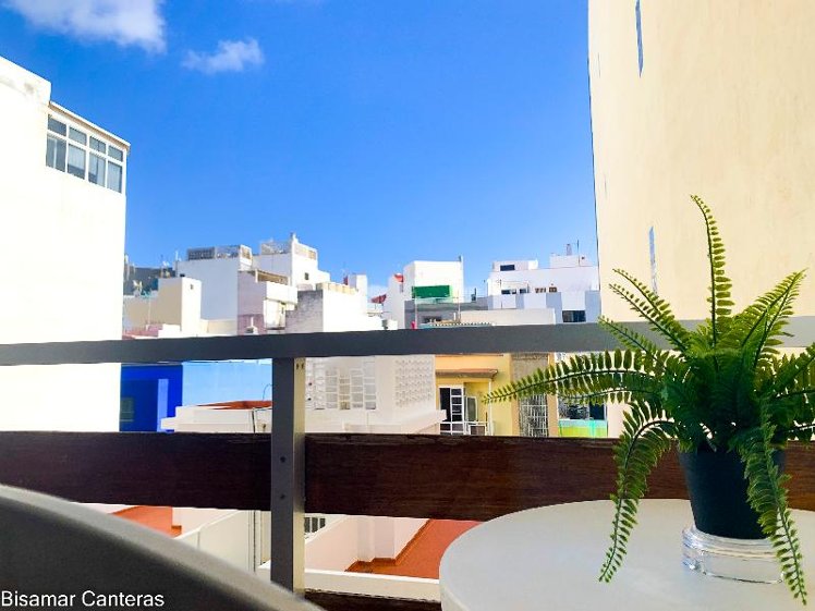 STUDIO GARDEN VIEW Room