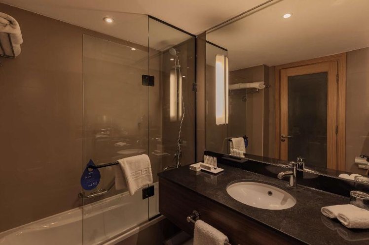 DOUBLE EXECUTIVE KING BED Room