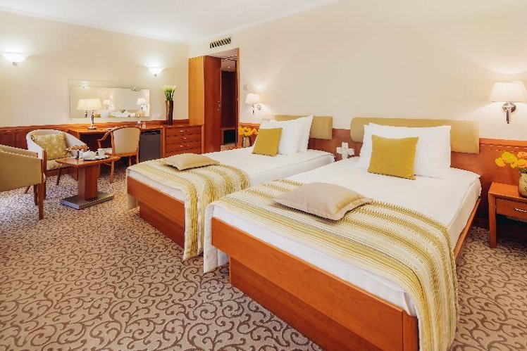 TWIN COMFORT Room