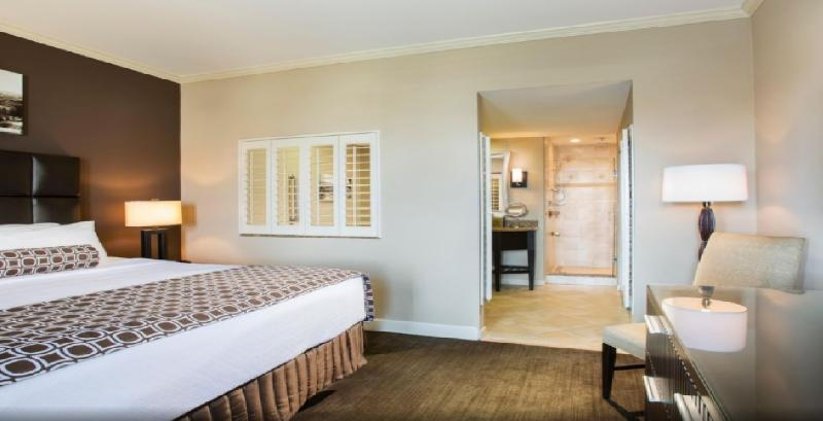 DOUBLE EXECUTIVE KING BED Room