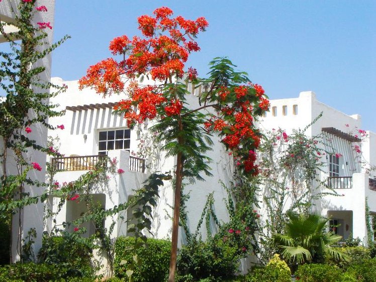 General view