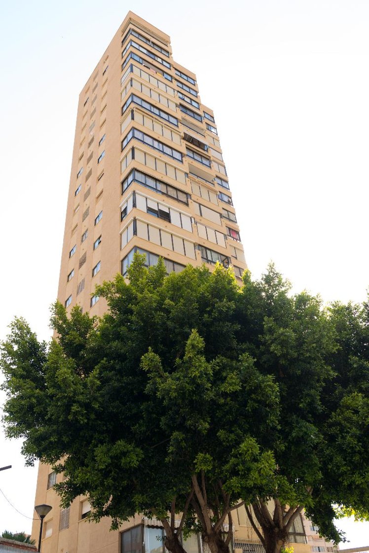General view