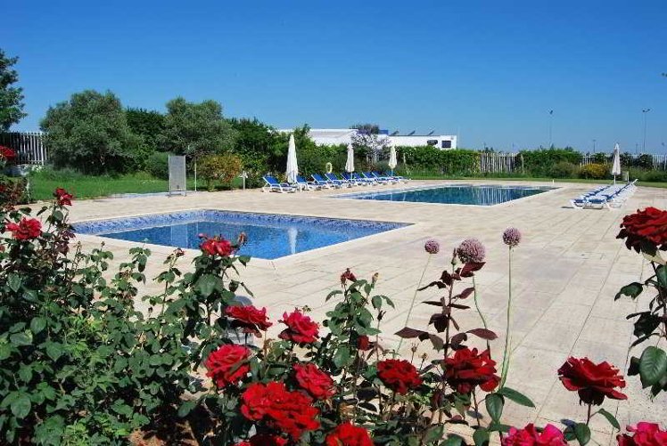 Holiday image