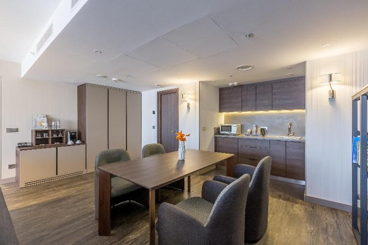 SUITE EXECUTIVE KING BED Room