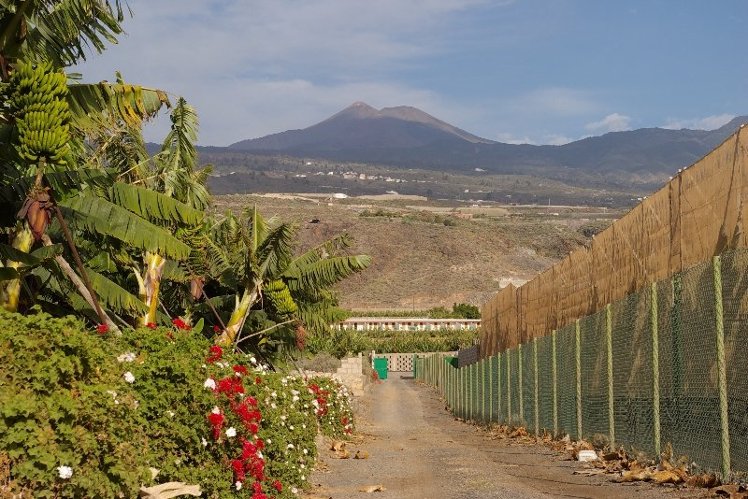 General view