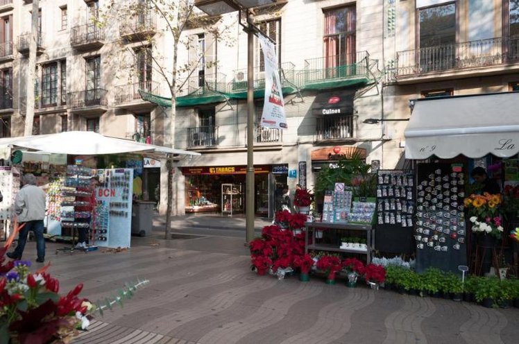 General view