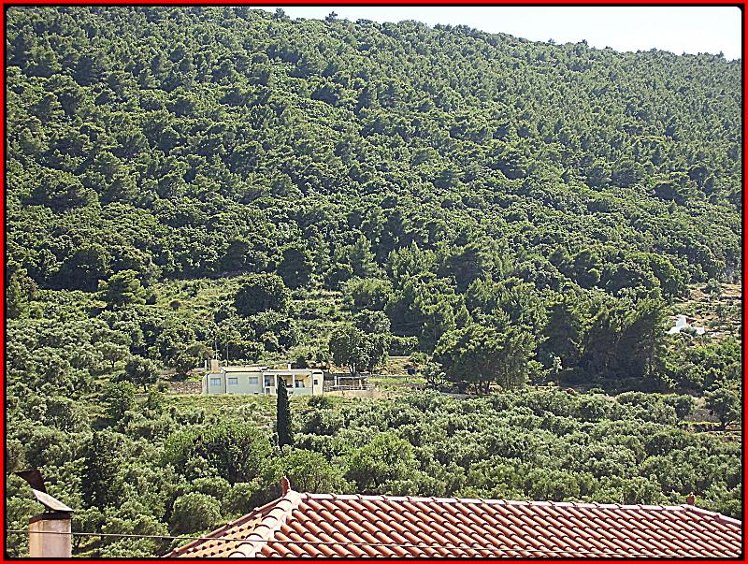General view
