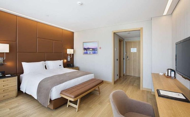 Room GUEST ROOM KING BED Room