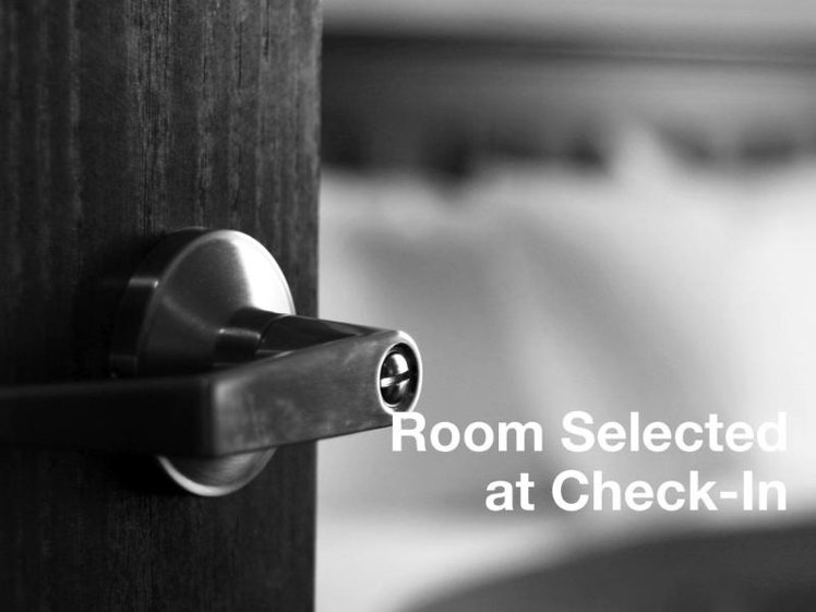 Double or Twin STANDARD Room