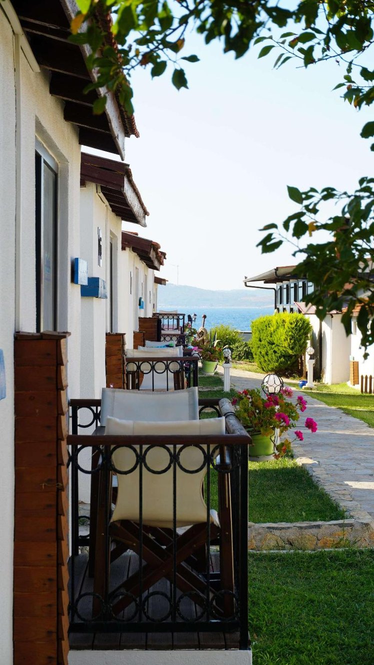 Holiday image