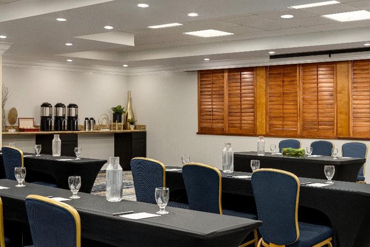 Conferences