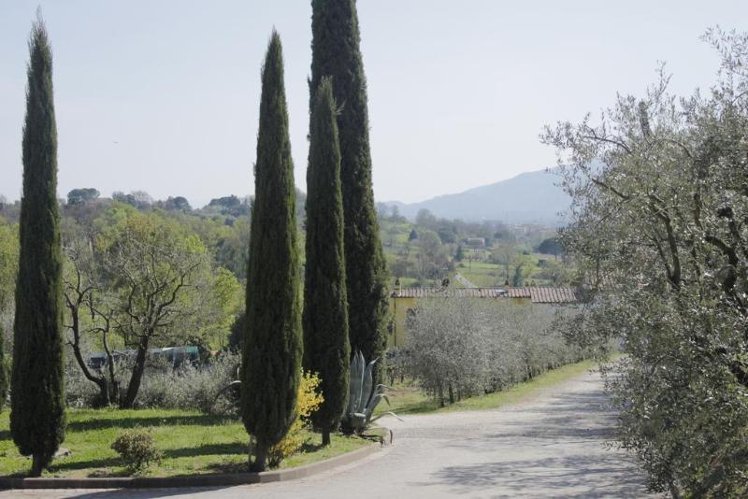 General view