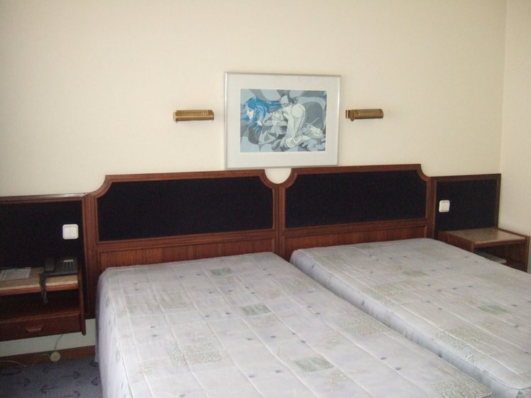 Double or Twin STANDARD Room