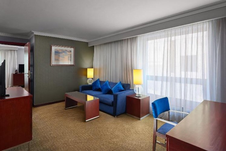 SUITE EXECUTIVE KING BED Room