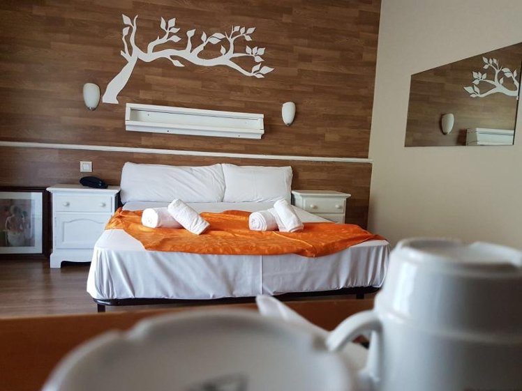 Double or Twin STANDARD Room