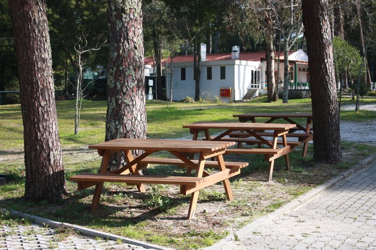 General view