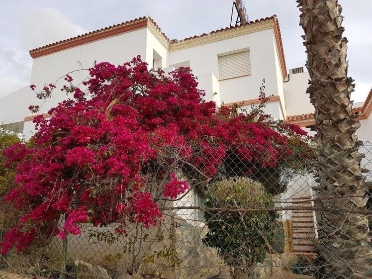 General view