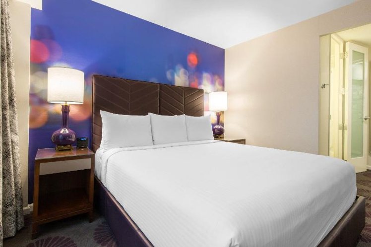 Room DELUXE Room