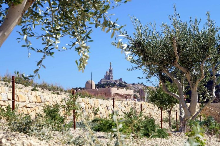 Golden Tulip Villa Massalia