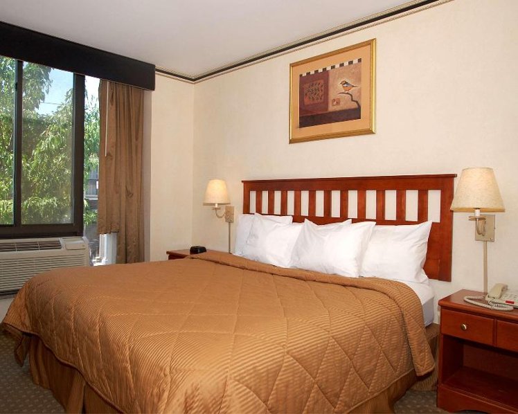 DOUBLE PREMIUM KING BED Room