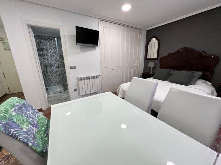 STUDIO PARK VIEW Room