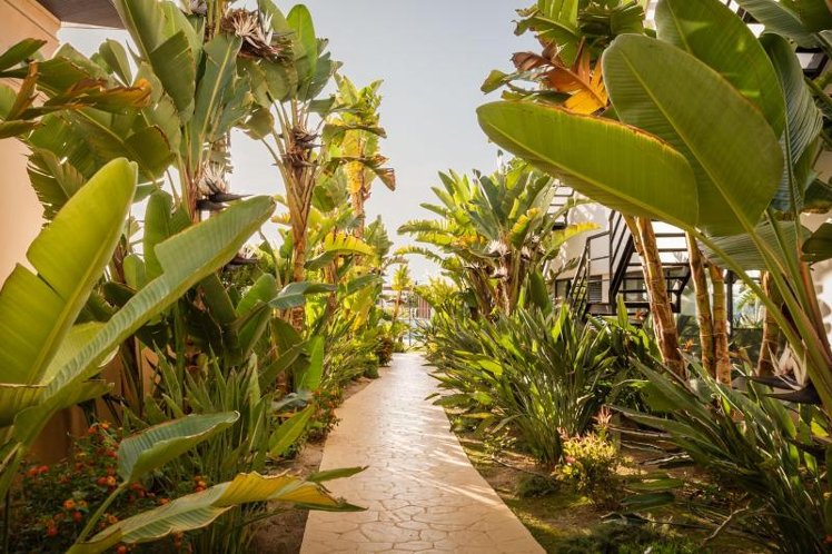 Alegria Palacio Mojacar