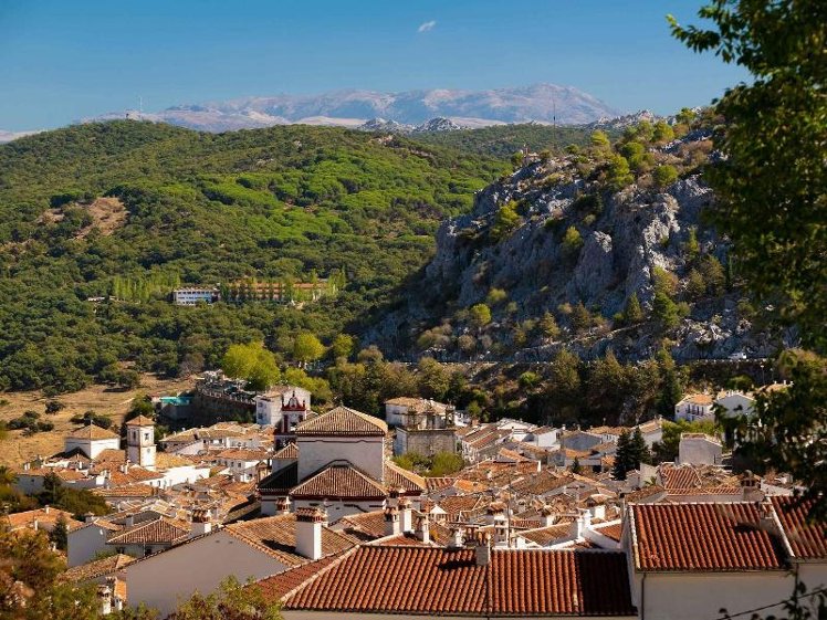 General view