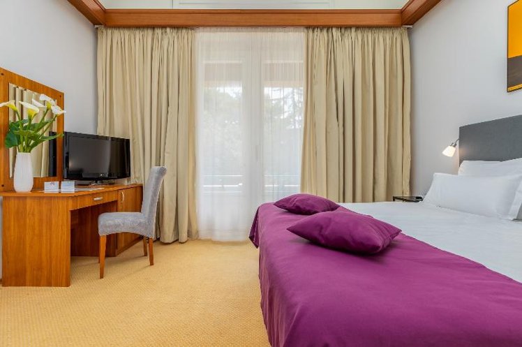 DOUBLE PARK VIEW WITH BALCONY Room