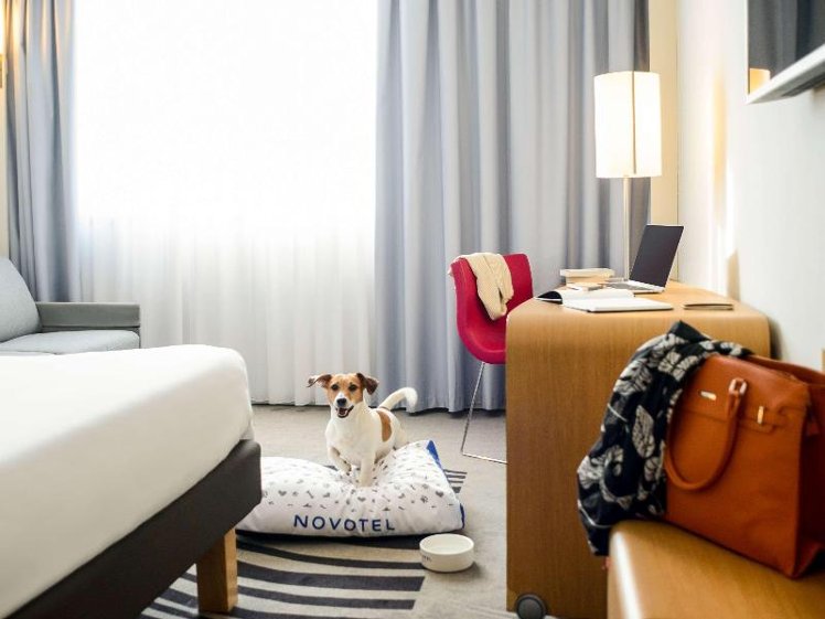 DOUBLE EXECUTIVE KING BED Room