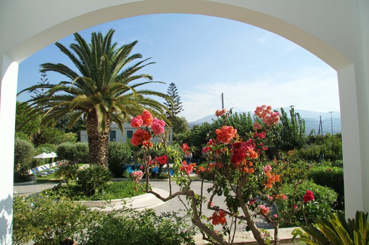General view