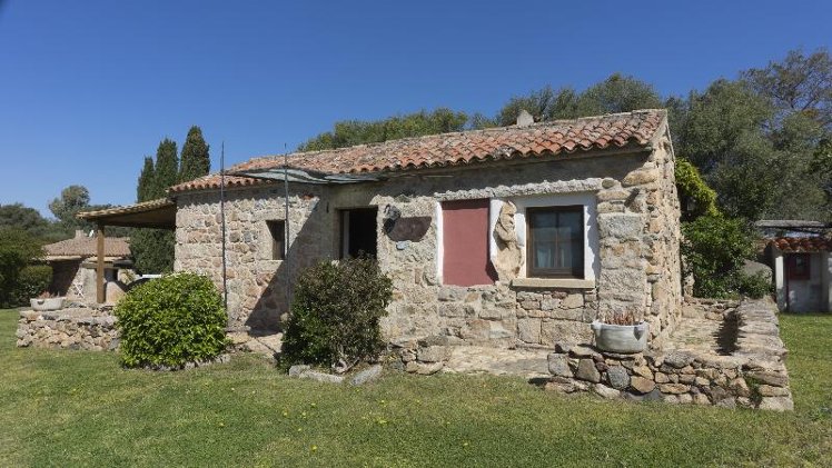 Holiday image