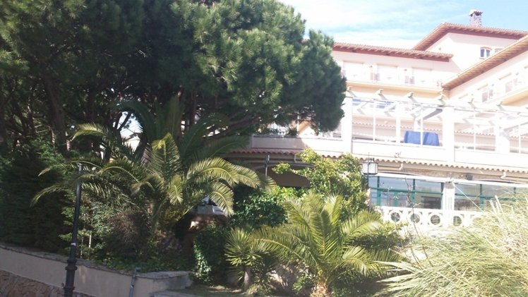 Holiday image