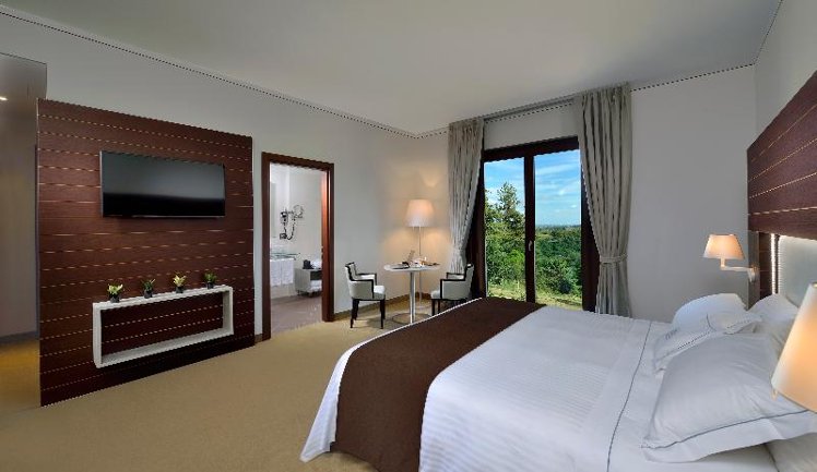 DOUBLE SINGLE USE DELUXE Room