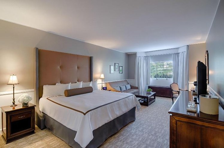DOUBLE DELUXE KING BED Room